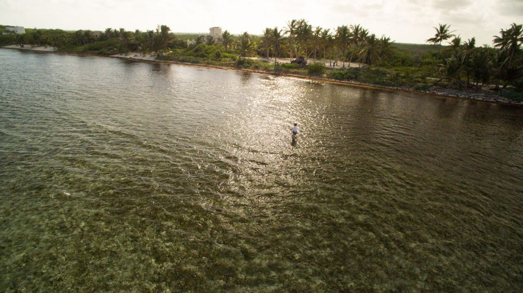 Make the Salt Water Fly Fishing Trip of a Lifetime, Every Year.