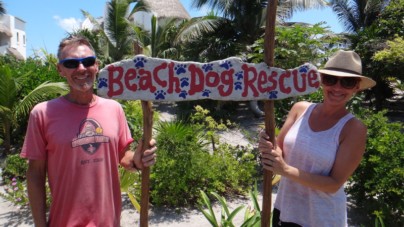 Giving Back – Costa Maya Beach Dog Rescue